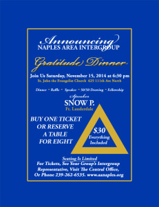 This is the flyer for 2014