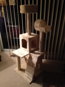 They're not so sure yet.