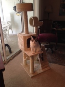 Look who likes the new "hotel"