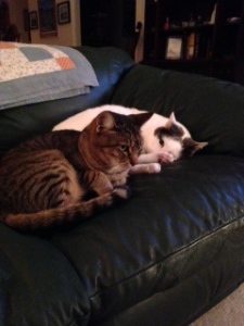 Sharing the same space.....priceless!