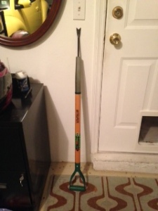 I'm not climbing on the roof!