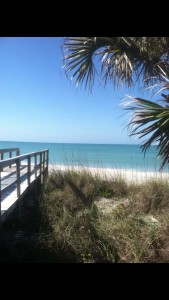 This is really paradise!