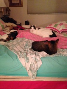 Everyone in their "space".