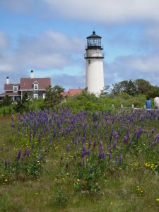 Lighthouse on Cape Cod
