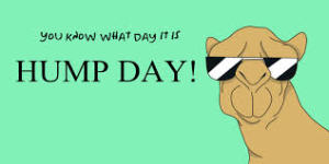 Hump Day