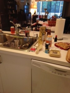 Holy Cow what a mess!