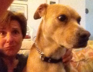 Frightened by fireworks on New Years Eve 2014