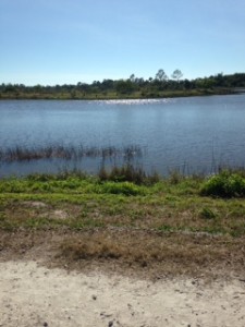 Beautiful Lake at The Gardens