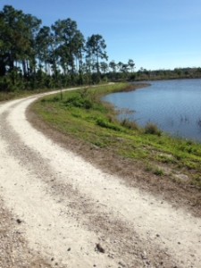 Path around Lake at The Gardens