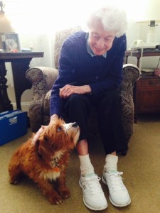 New "memory foam" sneakers and Riley!