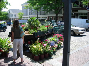 Beautiful Flowers everywhere