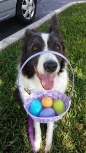 Here is Winston - Happy Easter Everyone!