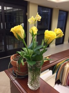 Roses at my desk!