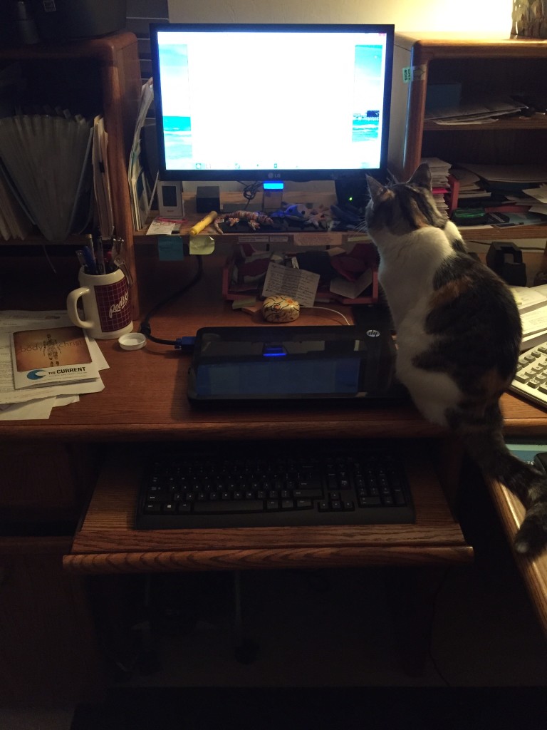 My New Computer Set Up