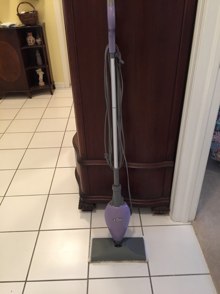 Steam Mop