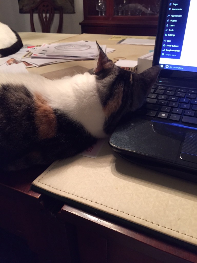 Wylie found the warm spot